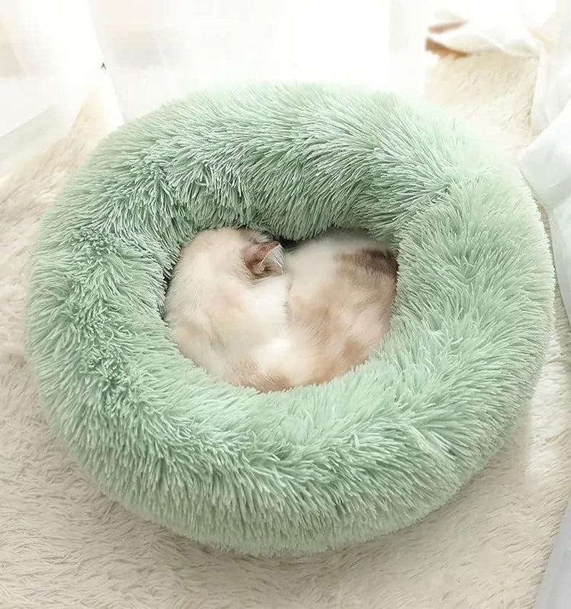 Cat Beds for Indoor Cats - Cat Bed Washable 20/24 Inches, Dog Beds for Small Medium Dogs, anti Anxiety round Fluffy Plush Faux Fur Cat Bed, Thick Bottom (Light Green, Medium)