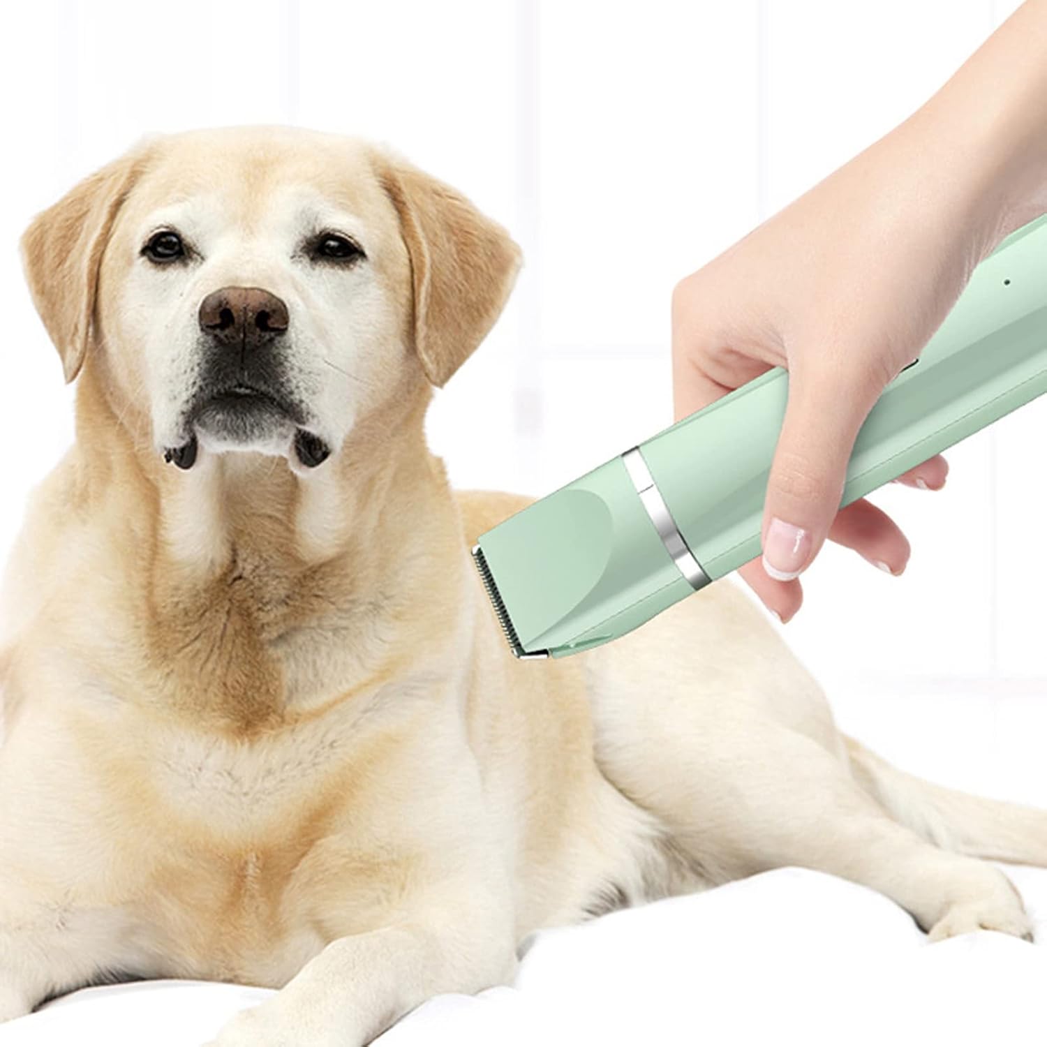 Pet Hair Trimmer, 4 in 1 Rechargeable Low Noise Safe Electric Cat Puppy Hair Clipper, Pet Hair Thick Coats Clippers Trimmers Set Dog Grooming Tool for Dogs, Cats, and Other Pets