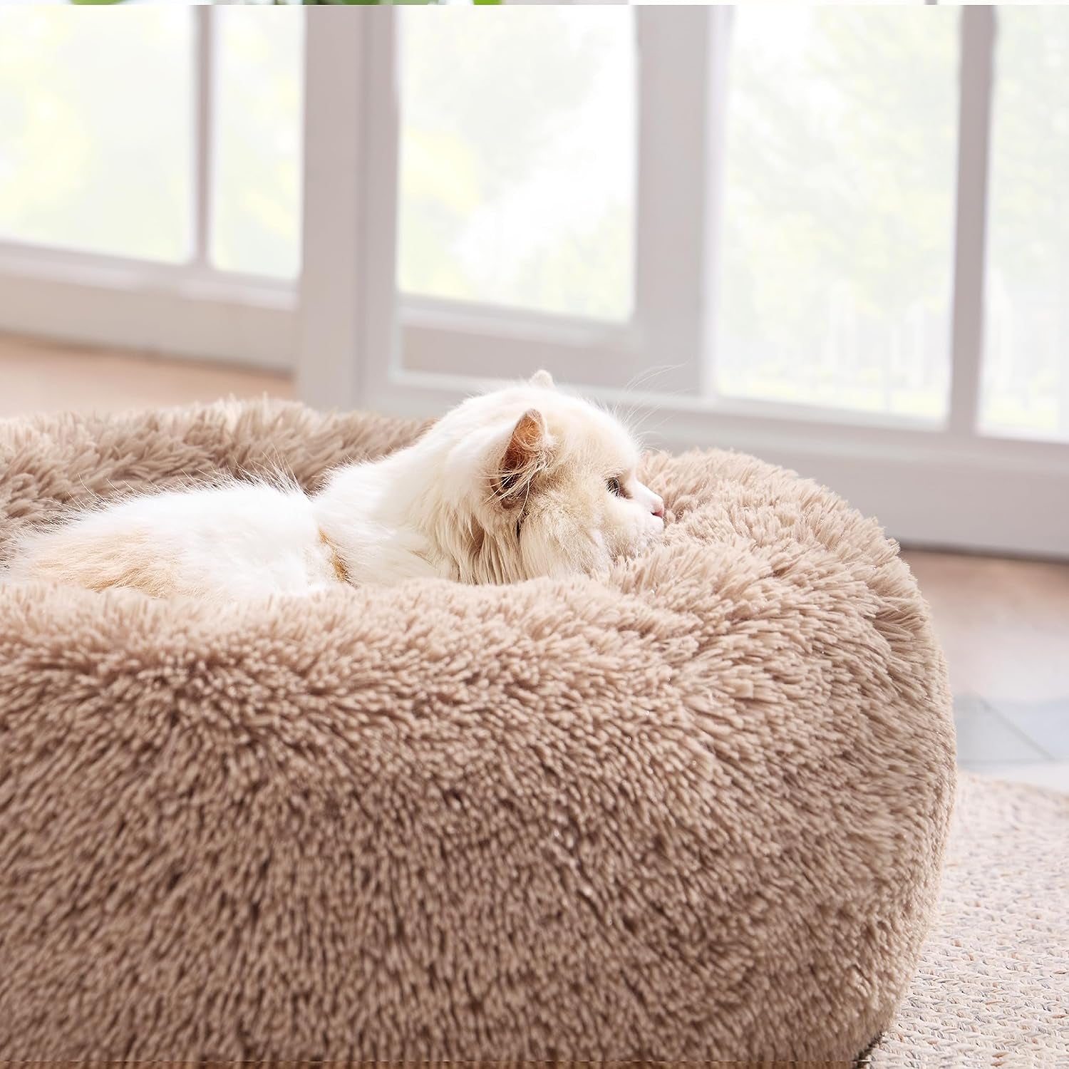 Purrfectly Cozy Cat Cuddles: The Fluffiest Nap Zone for Your 15-Lb Feline Overlord - Camel Edition!