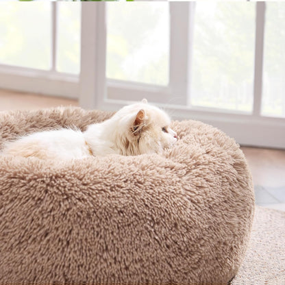 Purrfectly Cozy Cat Cuddles: The Fluffiest Nap Zone for Your 15-Lb Feline Overlord - Camel Edition!